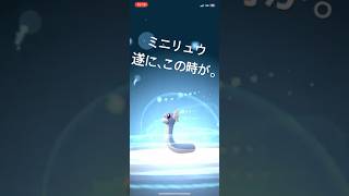 ポケモンGO ミニリュウが遂に…。 #ポケモン #ポケモンgo #めざせポケモンマスター #pokemongo #pokemon #ハクリュー #ミニリュウ