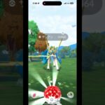 [ポケモンGO] ザシアンの色違いきちゃ！？ #shorts