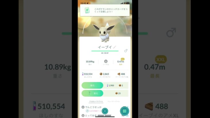 ポケモンGOでイーブイのコミュニティデイをしたら43体中14体色違いを捕まえることができました。よかったらチャンネル登録高評価コメントよろしくお願いします。