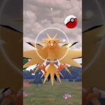 GOパス7月背景付きサンダー#ポケモンgo #shorts