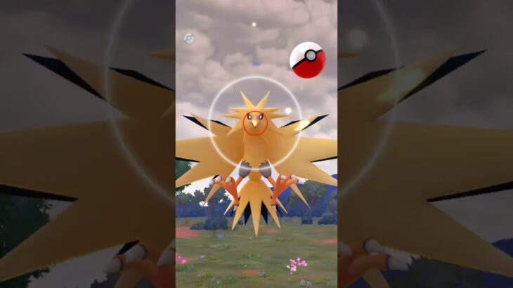 GOパス7月背景付きサンダー#ポケモンgo #shorts