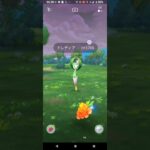 【ポケモンGO】ヒスイドレディアGETチャレンジ。