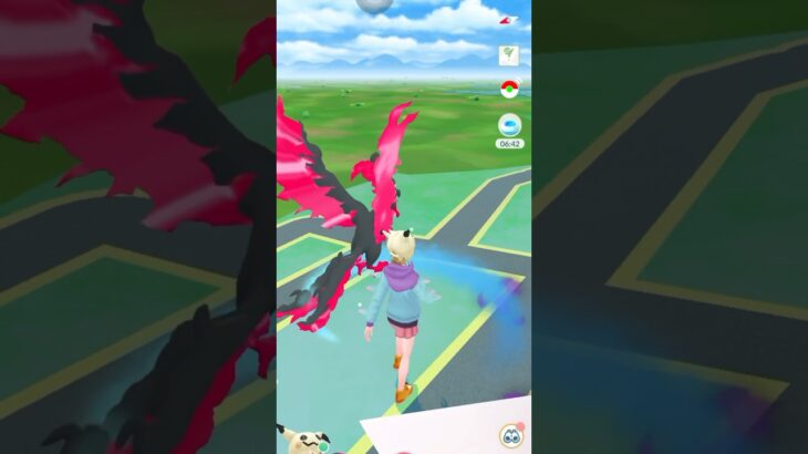 【ポケモンGO】ガラルファイヤーGETチャレンジ【30分おさんぽおこう】#ポケモンgo #shorts #おさんぽおこう