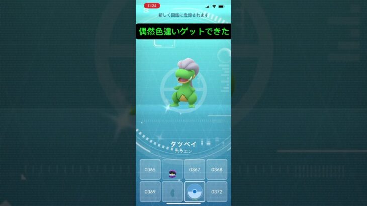 色違いゲット#ポケモン#ポケGO#ポケモンGO#ゲーム#色違い