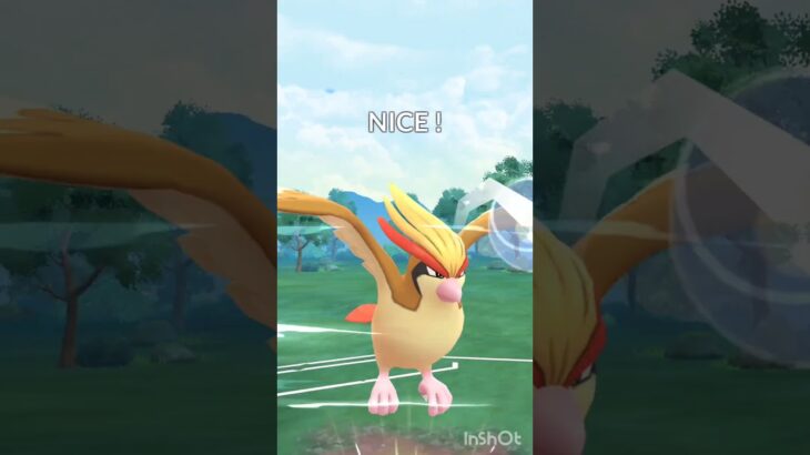 #ポケモンGO#陽光カップ#GOバトルリーグ#スーパーリーグ#GBL#PvP#ポケGO#PokémonGO