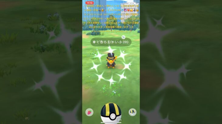 ✨【確率破壊】【世界一神回神引きポケモンGO】【グローバル限定プレミア級色違いちっちゃい】【色違いピカチュウちゃん】📹❤️‍🔥🐺🥰😎絶対可愛いナイショで観てね✨　#ポケモンgo #ポケモン