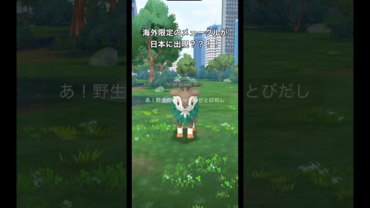 【ポケモンGO】海外限定のメェークルが日本に出現？？！！！#ポケモンgo #ポケモン #メェークル