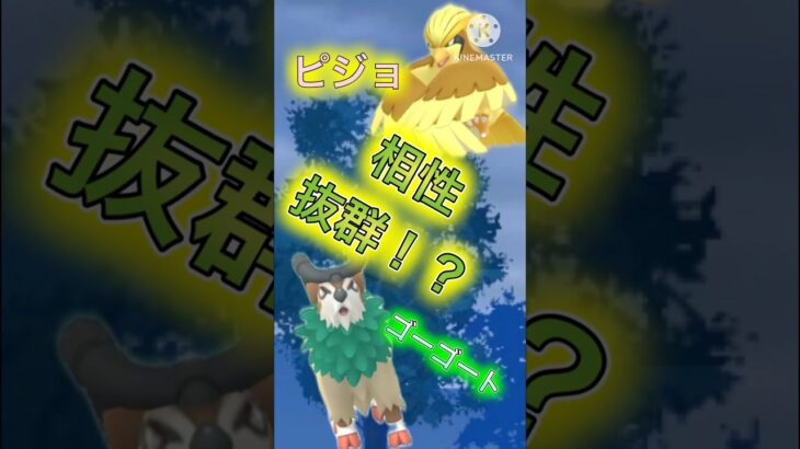 【ポケモンGO】ピジョットとゴーゴートが相性抜群すぎてやばい件(スーパーリーグ)#ポケモンgo #goバトルリーグ #pokemongo #shorts