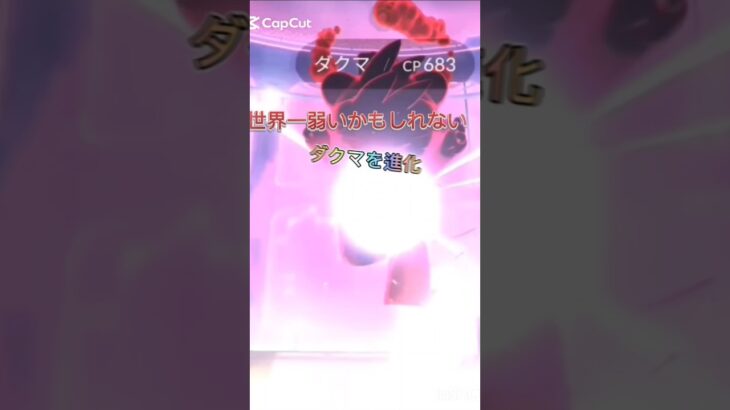 【ポケモンGO】世界一弱いかもしれないダクマを進化！　何でこうなるんだよ〜　#pokemon #pokemongo #shorts