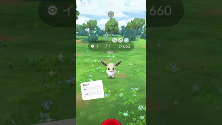 【ポケモンGO】ブイズ色違いコンプリートー!!!!‼︎‼︎!#pokemon #pokemongo #イーブイ #色違い #shorts