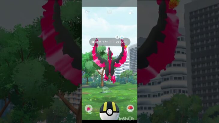 ガラルファイヤー出現！#ポケモンGO#ファイヤー#ガラルファイヤー#おさんぽおこう#pokemongo#ポケモン