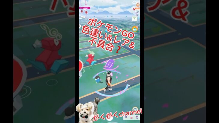 【ポケモンGO】#pokemongo              #shiny-pokemon #shorts  #pokemon #ポケモンgo 色違い　不具合ポケモンGO