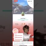 💯I Hatched a 100 IV LARVITAR In Pokemon Go!💯 #shorts #pokemon