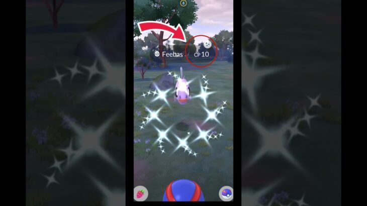 LETS GOO!! ✨ Shiny  Feebas ✨in Pokemon GO.