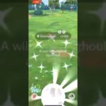 ✨NEW Shiny Gimmighoul CAUGHT in Pokemon Go!✨ #shorts #pokemon