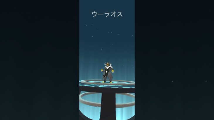 【Pokémon GO】 Kubfu → Urshifu Evolve 🔥