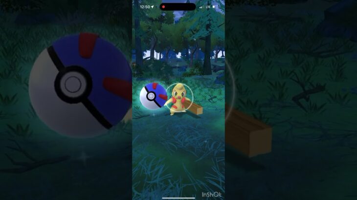 Pokémon Go shiny hunt
