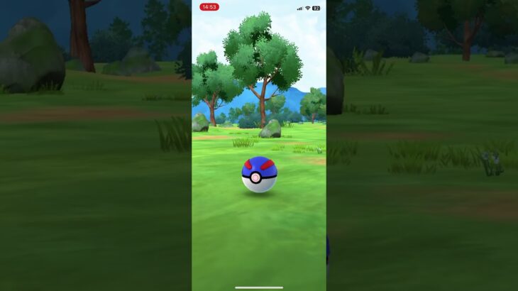 ✨Shiny Quaxly ✨- Pokémon GO #pokemongoshorts #pokemongo #shinypokemon #ポケモンgo #ポケモン