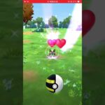 Shiny Rookidee caught!#ポケモンgo #pokemongo #ポケモン #ココガラ　#アーマーガア #corviknight