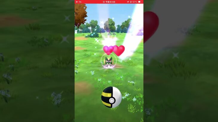 Shiny Rookidee caught!#ポケモンgo #pokemongo #ポケモン #ココガラ　#アーマーガア #corviknight