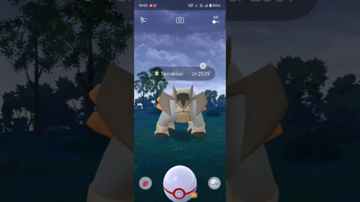 Terrakion Duo in Pokemon go #pokemongo #legendaryraid #pokemon #terrakionduo #terrakion