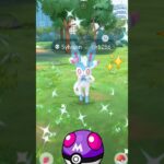When I Got✨Shiny Sylveon From Research in Pokemon Go