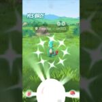 Yes bro! Shiny Treecko in Pokémon Go! #yesbro #shinypokemon #pokemongo #shiny #treecko #pokemon #fun