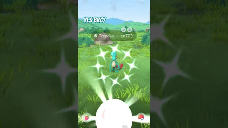 Yes bro! Shiny Treecko in Pokémon Go! #yesbro #shinypokemon #pokemongo #shiny #treecko #pokemon #fun