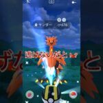 このサンダー、、、逃げない！？#ポケモンgo #ポケモン