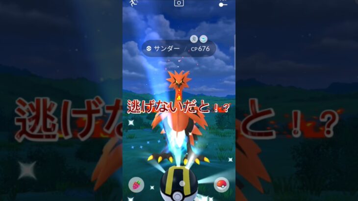 このサンダー、、、逃げない！？#ポケモンgo #ポケモン