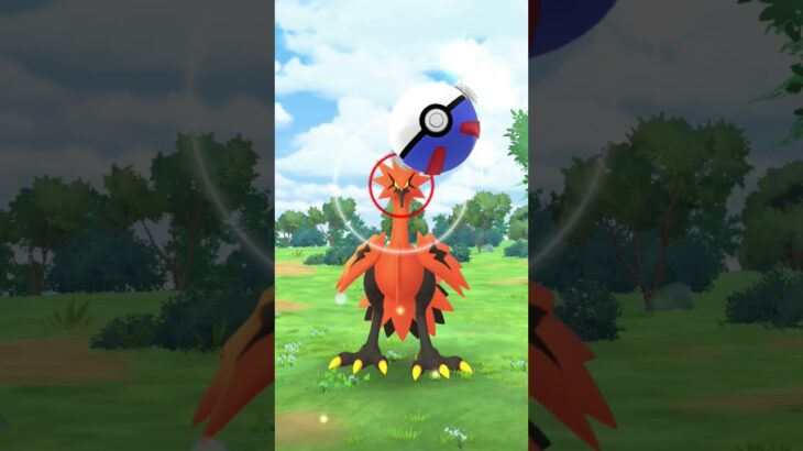 侮辱行為 #ポケモン #ポケモンgo #ガラル三鳥 #ガラルサンダー
