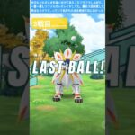 #ポケモンgo #レイド ＃ソルガレオ＃高個体値＃たまご生まれない＃バグ
