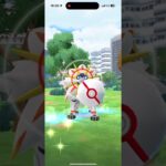 ソルガレオの高個体ほしい#ポケモンgo #ポケモン #スマホゲーム #ゲーム