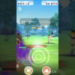 氷の牙型カバルドンか一貫しまくる！！ #ポケモンgo #ヒスイカップ