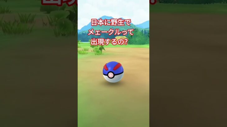 #ポケモン #ポケモンgo #メェークル