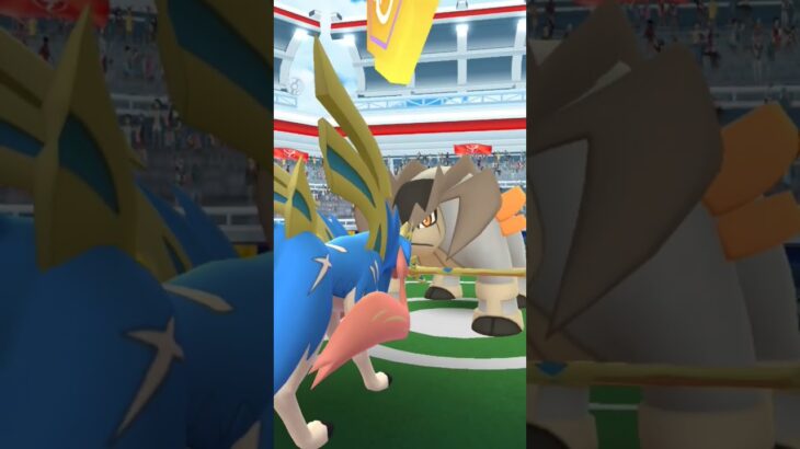 #ポケモンgo ＃シャリタツ＃テラキオン＃パールル＃カエル＃ある日のわい