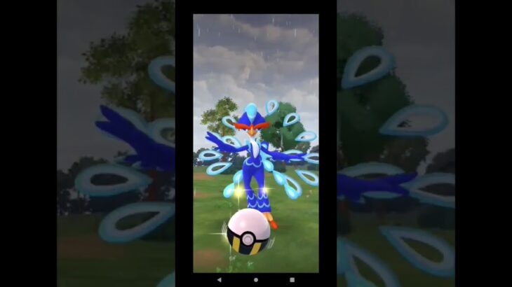 ＃ウェーニバル＃クワッス＃ #ポケモンgo ＃マツケンサンバ
