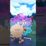 オコリザルが強すぎる件について#ポケモンgo #スーパーリーグ