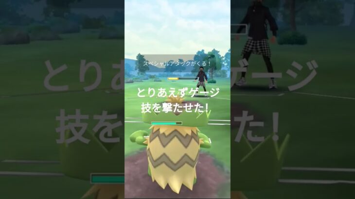 陽光カップに紛れ込んだセレビィ#ポケモンgo