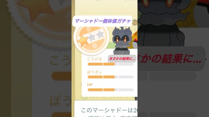 【ついに】マーシャドー個体値ガチャの結果がまさかの…？？ #ポケモンgo