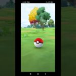 ポケモンgo