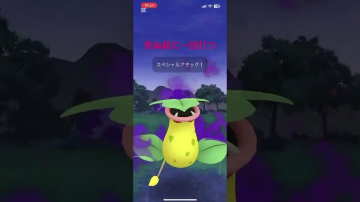 ポケモンgo 陽光カップ　5本目 #ポケモンgo