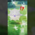 ハリーセンの色違い#ポケットモンスター #色違い #ポケモンgo