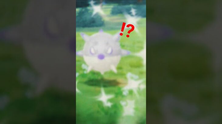 ハリーセンの色違い#ポケットモンスター #色違い #ポケモンgo