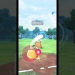 ヒスイドレディアめっちゃ強い！！　　#ポケモンgo