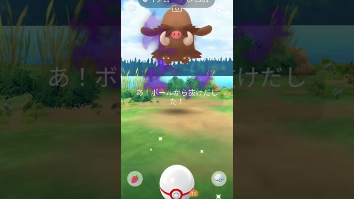 本日のレイド#ポケモンgo