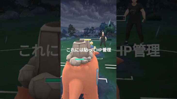 意外とルンパッパ強いかもしれません。#ポケモンgo