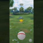 シャリタツレイド！ #ポケモンgo #ポケモンGO