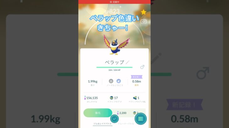 ぺラップ色違いきたー！#ガチャ神引き #ポケモン #ポケモンgo #ポケgo #ポケモンgo色違い #ポケモンgoまだやってます