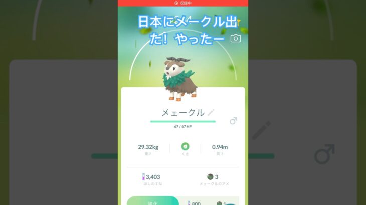 メークル！？#ポケモン #ポケモンgo #ガチャ神引き #ポケgo #ポケモンgoに夢中 #ポケモンgo好きな人と繋がりたい #ポケモンgo好きと繋がりたい
